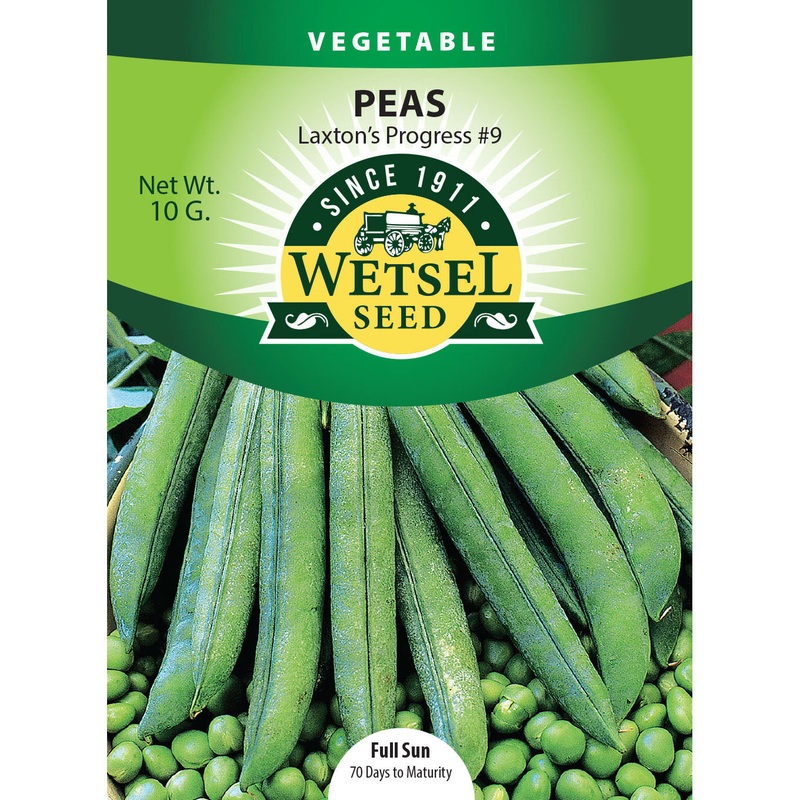 Wetsel Seed Peas Laxton Progress #9 Seed