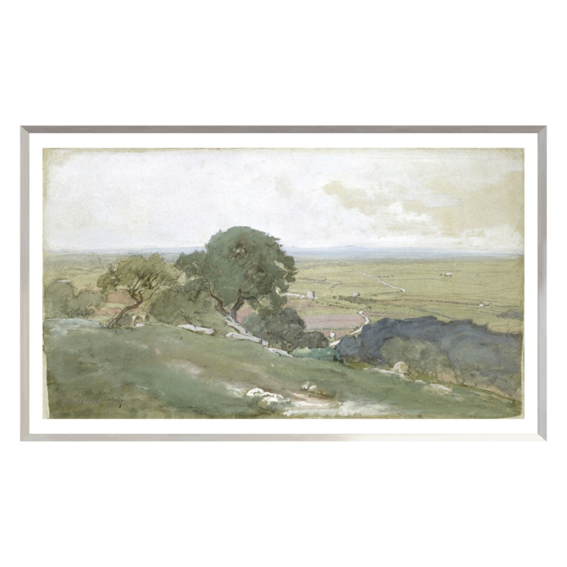 “Olive Tree Landscape” Framed Art Print