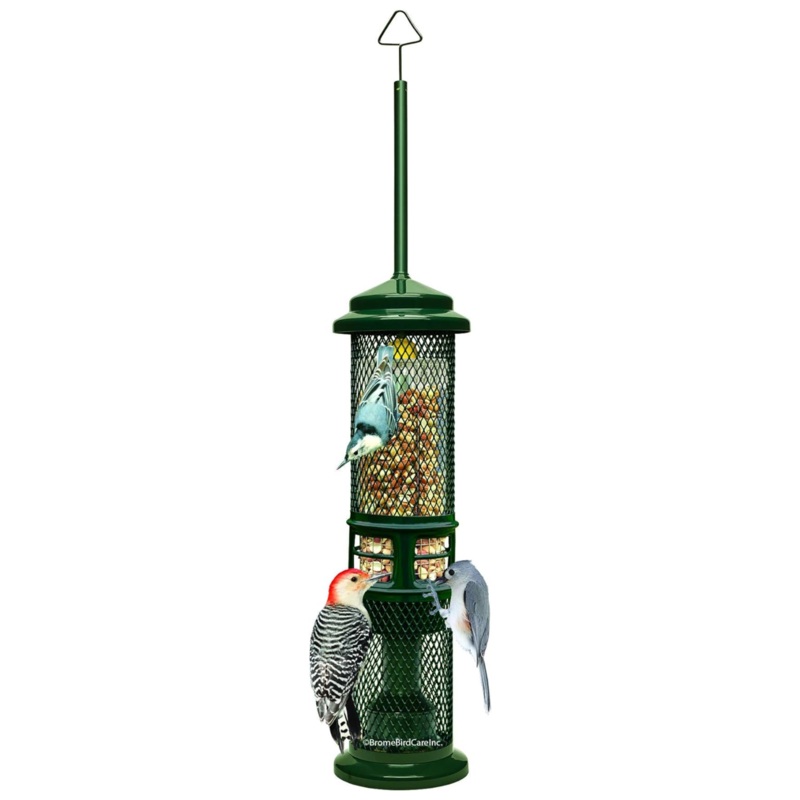 Brome Squirrel Buster Squirrel-Proof Bird Feeder for Nuts