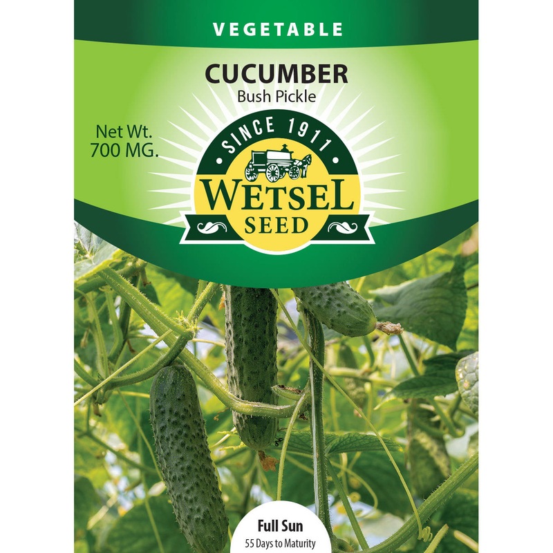 Wetsel Seed Bush Pickle Cucumber Seed