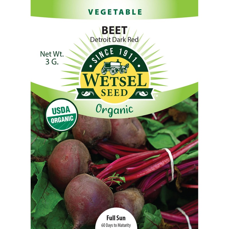 Wetsel Seed Organic Detroit Dark Red Beet Seed