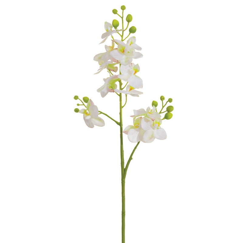Mini Phalaenopsis Stem – White