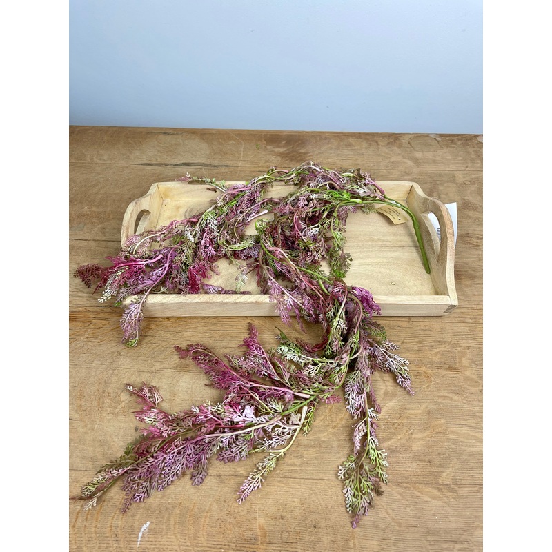 Pink Hanging Fern