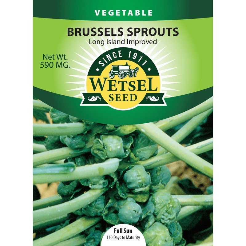 Wetsel Seed Long Island Improved Brussel Sprouts Seed