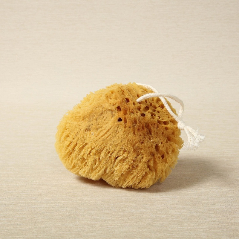 Natural Bath Sponge with Cotton Strap